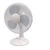 Fans