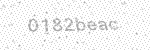 Validation Image